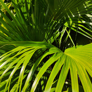 女生扒开🍑让我进去
